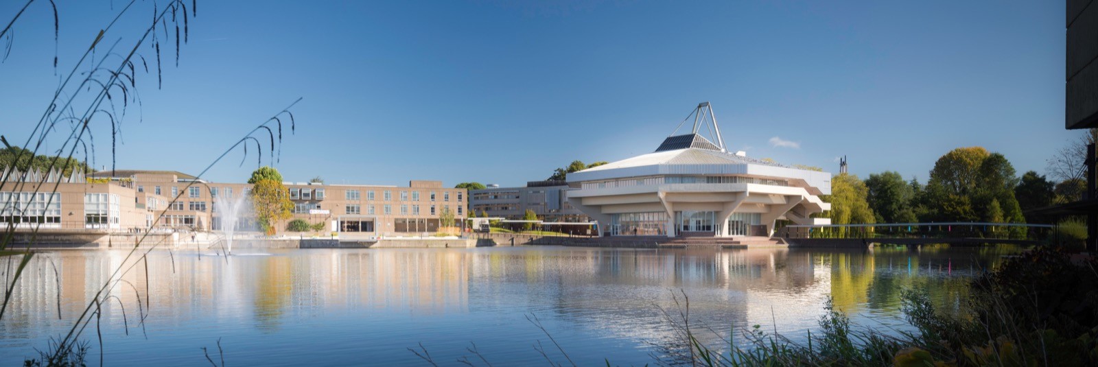 University of York